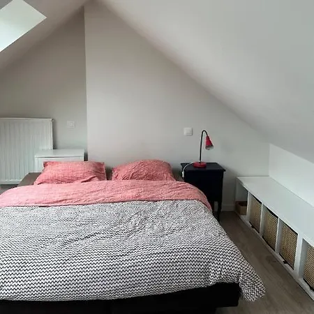 Apartament Au Petit Alveo *